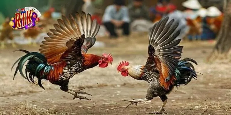 Hướng dẫn tham gia vừa cụ thể vừa đảm bảo tốc độ