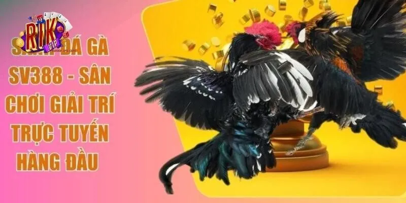 Tổng quan đặc điểm của sảnh đá gà xuất sắc nhất